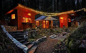Magical Yurt In The Woods - 2 Miles From Town