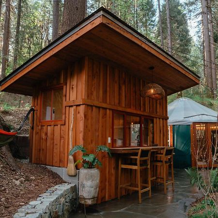 Magical Yurt In The Woods - 2 Miles From Town Hotel Nevada City Exterior photo