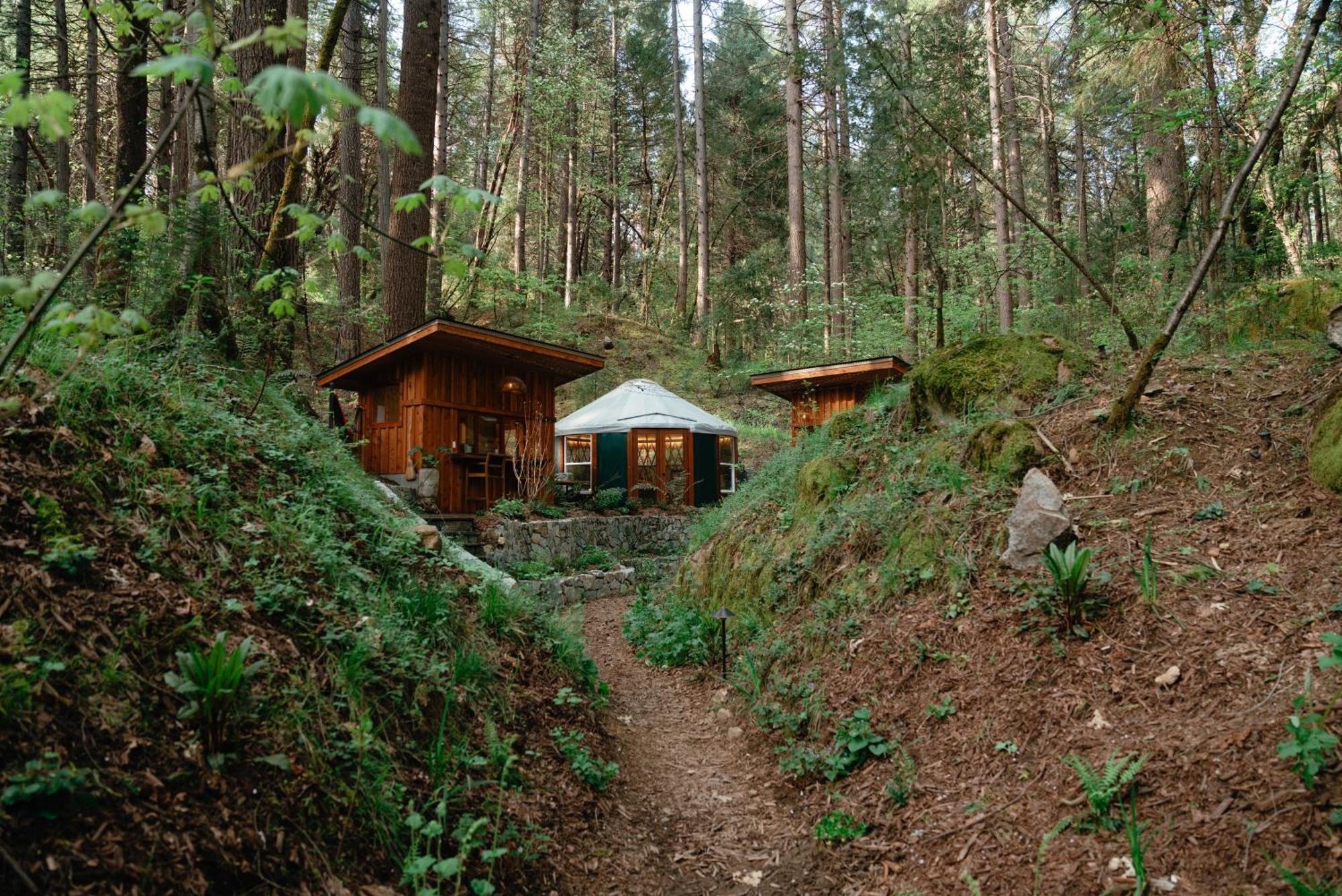 Magical Yurt In The Woods - 2 Miles From Town Hotel Nevada City Exterior photo